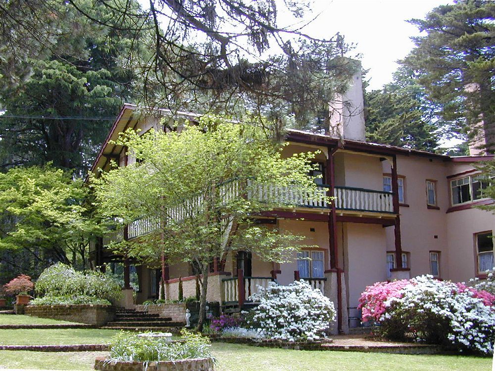 Whispering Pines Cottages Wentworth Falls Kültér fotó