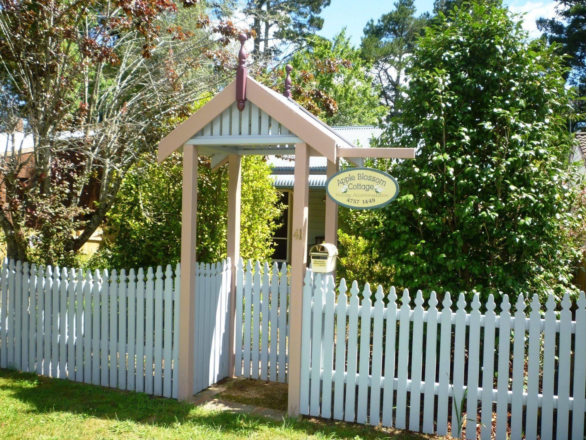 Whispering Pines Cottages Wentworth Falls Kültér fotó